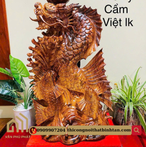 Cá chép hóa Rồng
