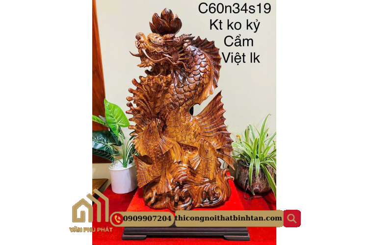 Cá chép hóa Rồng