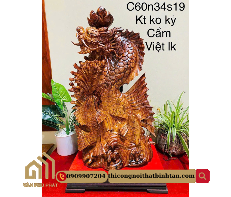 Cá chép hóa Rồng